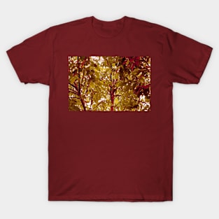 Apricot Tree in Fall T-Shirt